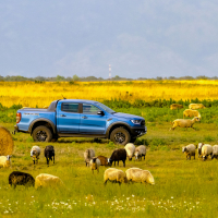 Ford raptor (29 of 30).jpg