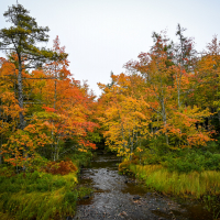 Kanada (56 of 63).jpg
