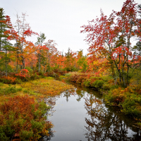 Kanada (57 of 63).jpg