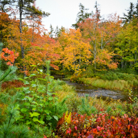 Kanada (55 of 63).jpg