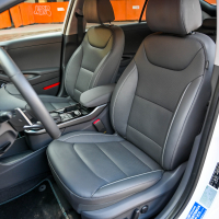 Hyundai ioniq EV impression (35 of 38).jpg