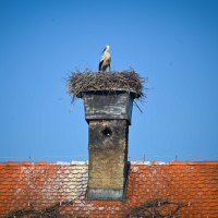 Avtodom varne pocitnice-38.jpg