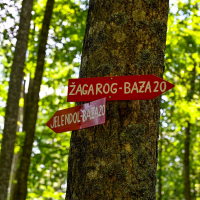Hibridni_izlet_Kocevski_Rog_AMZS-67.jpg
