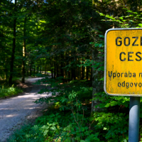 Hibridni_izlet_Kocevski_Rog_AMZS-62.jpg