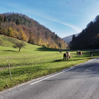 Hibridni izlet MOL Ljubljana_-4.jpg