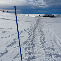 Velika planina hibridni izlet-19.jpg