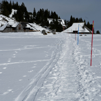 Velika planina hibridni izlet-20.jpg
