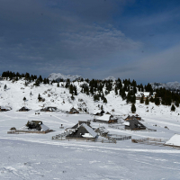 Velika planina hibridni izlet-14.jpg