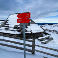 Velika planina hibridni izlet-21.jpg