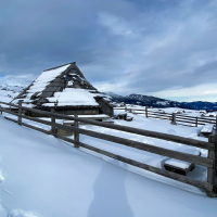 Velika planina hibridni izlet-23.jpg