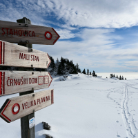 Velika planina hibridni izlet-31.jpg