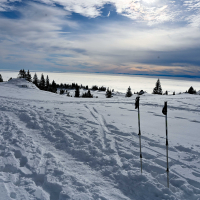 Velika planina hibridni izlet-28.jpg