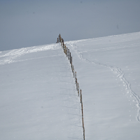 Velika planina hibridni izlet-32.jpg