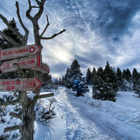 Velika planina hibridni izlet-34.jpg