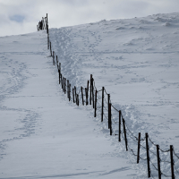 Velika planina hibridni izlet-33.jpg
