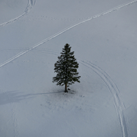 Velika planina hibridni izlet-53.jpg