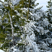 Velika planina hibridni izlet-50.jpg