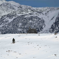 Velika planina hibridni izlet-39.jpg