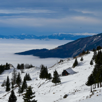 Velika planina hibridni izlet-10.jpg