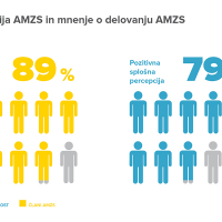 infografike AMZS web.jpg