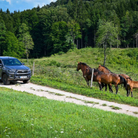 Toyota hilux 2,8 invincible 4x4 AMZS test.jpg