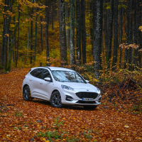 Ford kuga 2.5 duratec hybrid AMZS-3.jpg