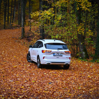 Ford kuga 2.5 duratec hybrid AMZS.jpg