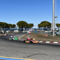 kz2.jpg