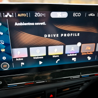 Cupra born AMZS test-14.jpg