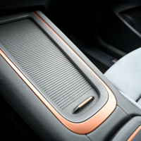 Cupra born AMZS test-16.jpg