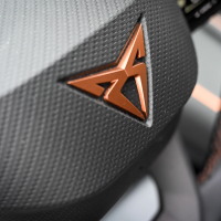 Cupra born AMZS test-32.jpg