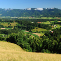 Čreta - zeleni izlet 2022