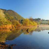 Čreta - zeleni izlet 2022