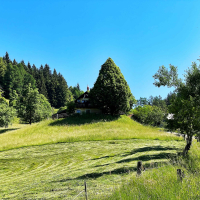 Čreta - zeleni izlet 2022