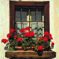 Zeleni izlet 02 Ženiklovec nad Lomsko dolino