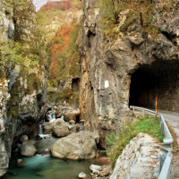 Zeleni izlet 02 Ženiklovec nad Lomsko dolino