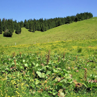 Zeleni izlet 02 Ženiklovec nad Lomsko dolino