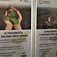 Cerje pogozdovanje 555 dreves