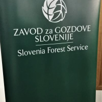 Cerje pogozdovanje 555 dreves