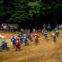 0624 DP MX Mačkovci ena