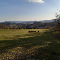 Zeleni izlet - Ivančna Gorica 2023
