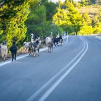 Grški Karibi Lefkada - potopis