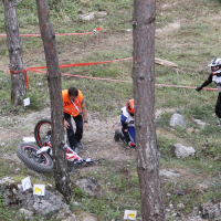 DP v trialu Kočevje II