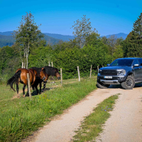 Ford ranger raptor - test 2023