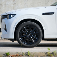 Mazda CX-60 3,3 e-skyactiv D homura - test 2023