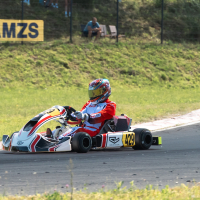 DP Karting Slovenja vas