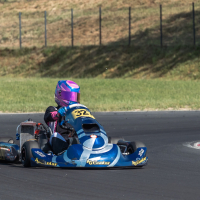 DP Karting Slovenja vas