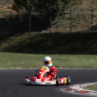 DP Karting Slovenja vas