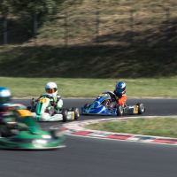 DP Karting Slovenja vas