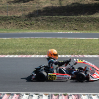 DP Karting Slovenja vas